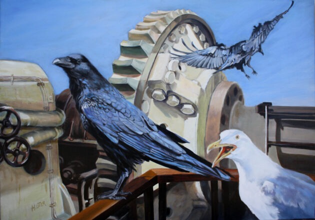 Seagull & Crows